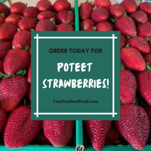Poteet TX Strawberries - grown organically