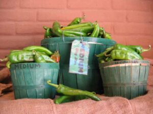 Fresh Green Chile - Certified Hatch New Mexico Green Chile