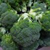 broccoli, green, fresh-1630519.jpg