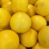 grapefruit, import, california-1578936.jpg