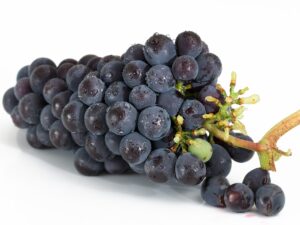 grapes, bunch, fruits-2032838.jpg