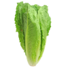 lettuce, romaine, greens-2468495.jpg