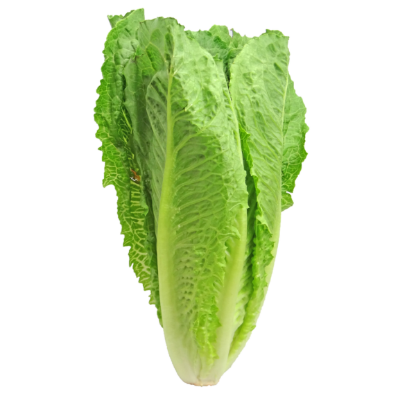lettuce, romaine, greens-2468495.jpg