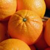 oranges, citrus, fruits-2100108.jpg