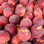 peaches, delicious peaches, peach-101345.jpg