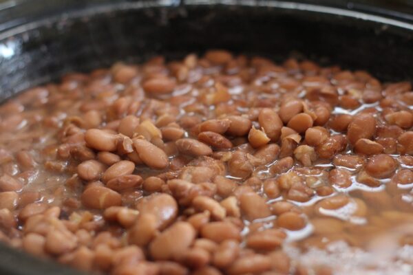 pinto beans, beans, cooking-356622.jpg