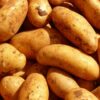 potatoes, vegetables, root vegetables-5796.jpg