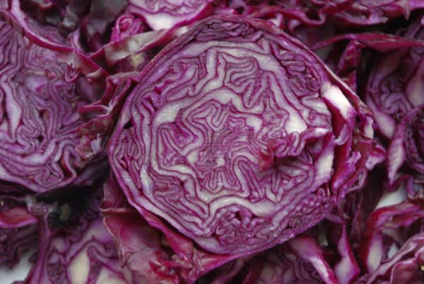red cabbage, vegetables, cabbage-1338061.jpg
