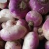 turnip, agriculture, soupe-2358185.jpg