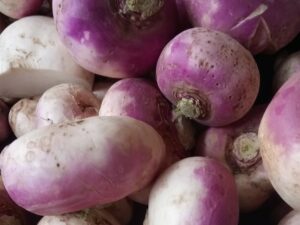 turnip, agriculture, soupe-2358185.jpg