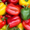 vegetable, chilli, bell pepper-3996066.jpg