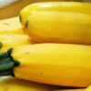 squash, yellow, green-938940.jpg