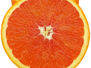 orange, citrus, fruit-1921339.jpg