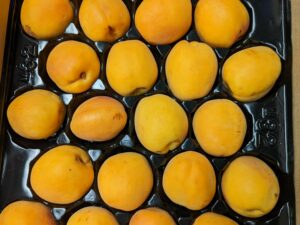 Apricots, case - 3 layers, approx 18 lbs