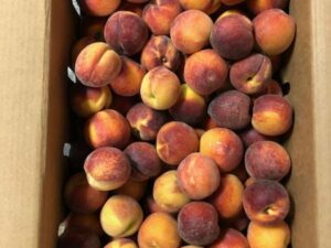 White Peaches 25 lb box (or half box)