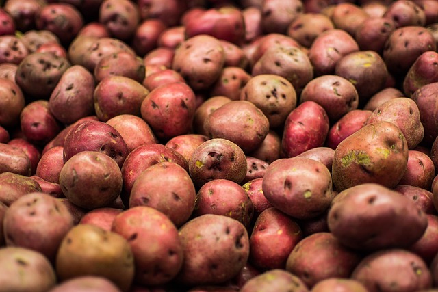 Red Potatoes B-Size