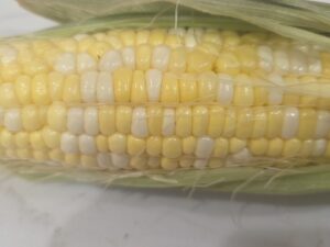 Corn, dozen white (from California)